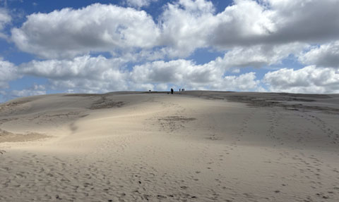 Die Wanderdüne Råbjerg Mile